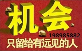 代理中的戰(zhàn)斗機 hz代理小顏，助您領(lǐng)航商海新高度